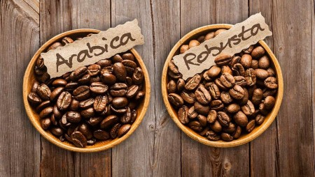 Arabica vs robusta