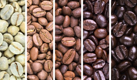choisir grain café
