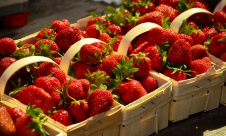 fraises de saison