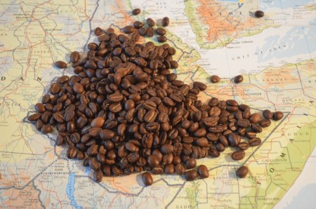origines graines café